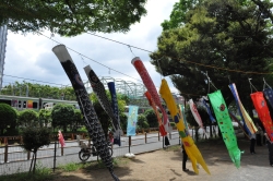 写真：電車から見えるこいのぼり