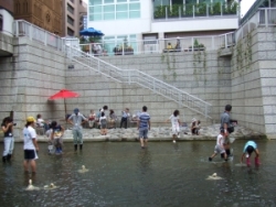 写真:神田川親水テラスの様子