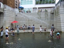 写真：神田川親水テラスの様子