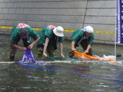 写真：水元の実演