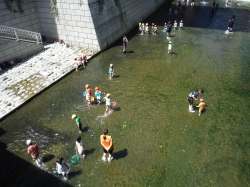 写真：開放された神田川親水テラス