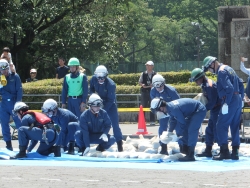 写真：合同総合水防訓練の様子