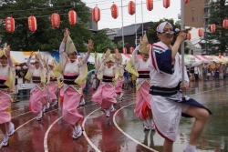 写真:四谷納涼踊りの様子