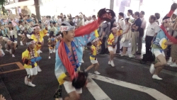 写真:神楽坂まつりの様子