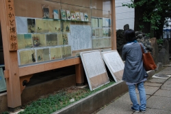 写真:八雲の怪談本