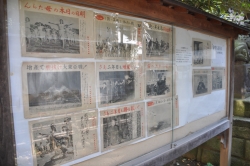 写真:展示