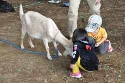 ふれあいフェスタ2015開催小写真3