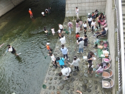 写真：戸塚地域センターまつりの様子