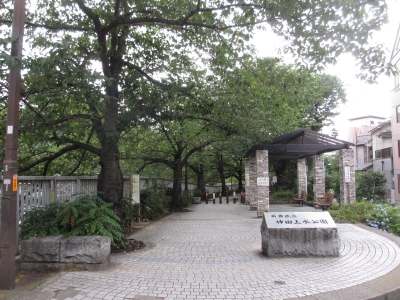 写真:公園の様子