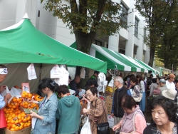 写真:ふれあいフェスタ2015の様子