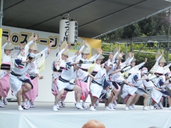 写真:ふれあいフェスタ2015の様子
