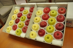 写真：色鮮やかなリンゴ