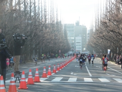 写真:ハーフマラソンの様子