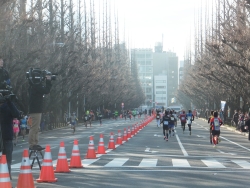 写真：ハーフマラソンの様子