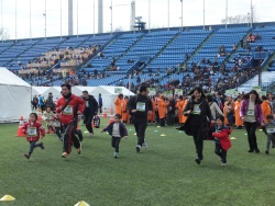 写真:ひよこの部