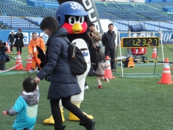 写真:ひよこの部