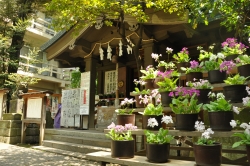 写真：稲荷鬼王神社