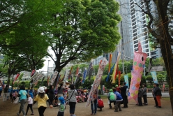 写真:風に泳ぐこいのぼり