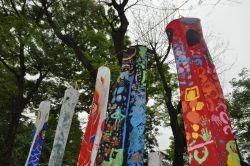 写真:飾られているこいのぼり