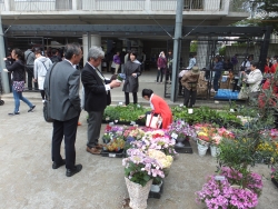 写真：お花の展示・販売風景