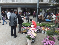写真:お花の展示・販売風景