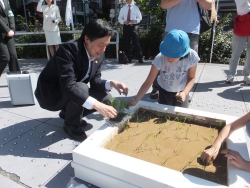 写真:吉住区長の田植え