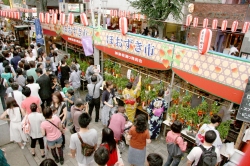 写真:前年度のほおずき市