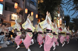 写真:前年度の阿波踊り大会の様子