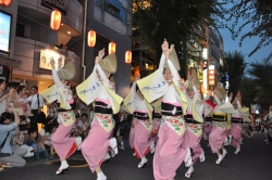 写真：前年度の阿波踊り大会の様子