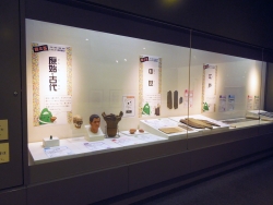 展示の様子