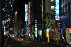 写真:区役所通りイルミネーション