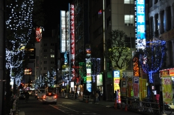 写真：区役所通りイルミネーション