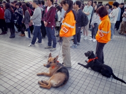 写真：オープニングに参加した警察犬