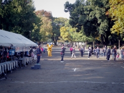 写真：マラソンスタート地点の様子