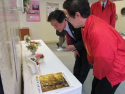 写真:皆さんの作品展示を拝見