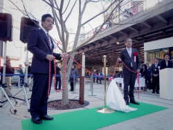 写真:タカトオコヒガンザクラ記念柱除幕式