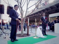 写真：タカトオコヒガンザクラ記念柱除幕式