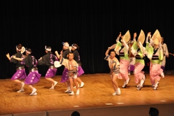 画像:阿波踊り