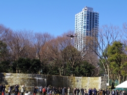写真:中央公園での実証実験の様子