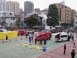 写真:四谷ひろば校庭の風景