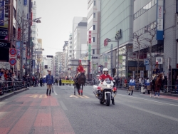 写真:新宿通りパレードの様子
