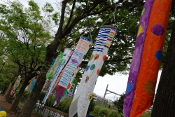 写真:西戸山公園のこいのぼり