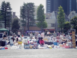 写真：会場となった西新宿中学校校庭