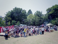 写真：おとめ山緑祭り会場風景