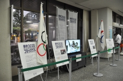 写真:区役所本庁舎でのフラッグ展示