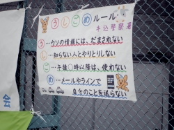 写真:うしごめルール