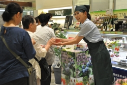 画像：伊那市職員による伊那産ブルーベリー「蜜のつぶ」の試食案内の様子