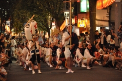 写真：阿波踊りの様子