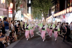 写真 阿波踊り大会の様子