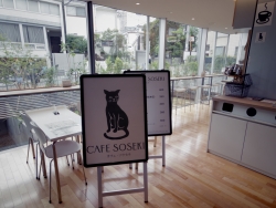 写真:ブックカフェコーナー